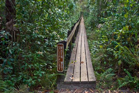 Highlands Hammock Nature Trails | Florida Hikes!