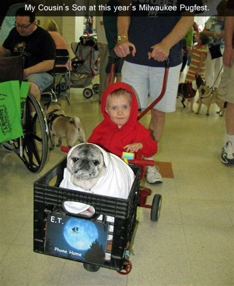 I want to kiss him | Dog parents, Pet parade, Pugs