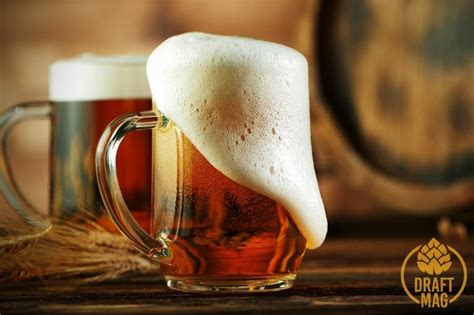 Understanding Beer Head: What They Are, and Why They Are Useful