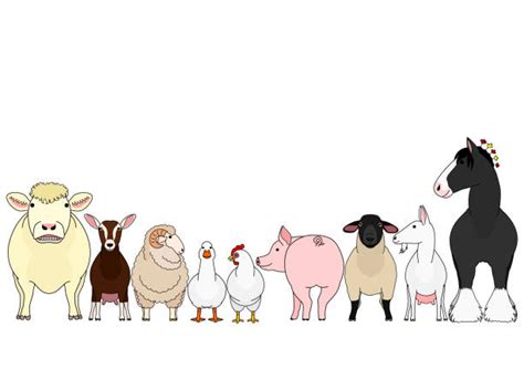 Set Of Farm Animals A Row And A Group Illustrations, Royalty-Free ...