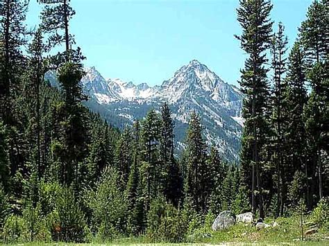 Bitterroot National Forest | Natural Atlas