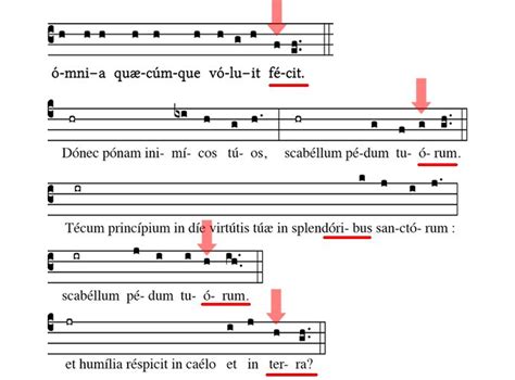 Lesson 11: How To Read Gregorian Chant | Lesson, Reading, Chants