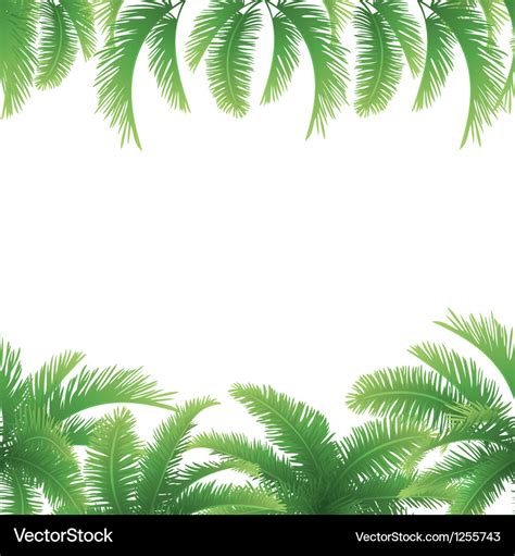 Seamless background palm leaves Royalty Free Vector Image