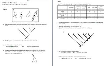 Cladogram Practice Worksheet by AW's Science Corner | TPT