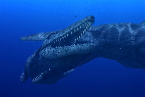 Tylosaurus Dinosaur, Photos | information - Tylosaurus Gallery