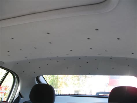 Diy Starlight Ceiling Car | Shelly Lighting