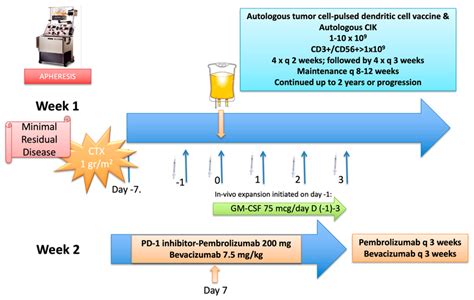 Detailed treatment protocol. The protocol was initiated on day (−7 ...