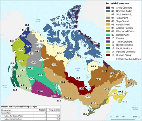 Terrestrial ecozones and ecoprovinces of Canada