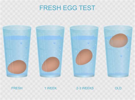 Egg Experiments Illustrations, Royalty-Free Vector Graphics & Clip Art ...