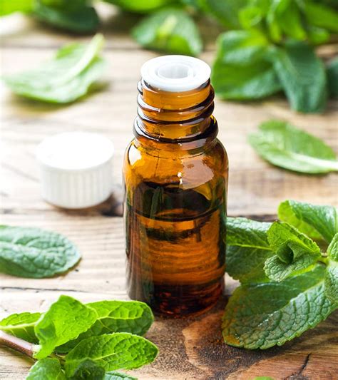 Peppermint Oil For Hair: Benefits And How To Use