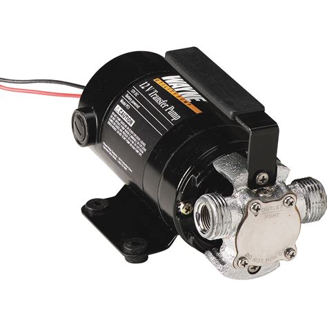 Wayne 12 Volt Self-Priming Transfer Water Pump — 340 GPH, 3/4in. Port ...