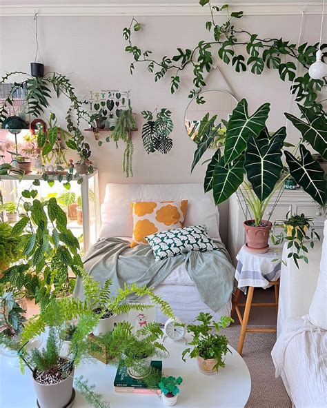 The Power of Plants in Home Decor: How to Decorate With Plants