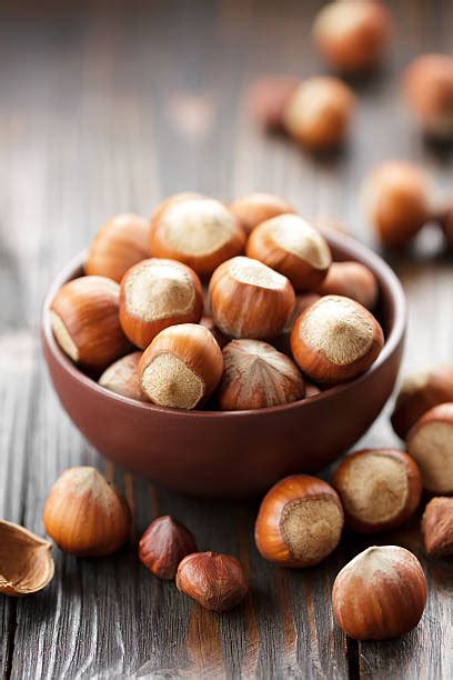 Best Tree Nuts Identification Stock Photos, Pictures & Royalty-Free ...