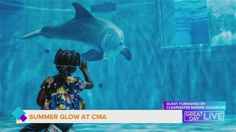 Here’s what’s new at the Clearwater Marine Aquarium | wtsp.com