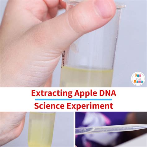 Fruit DNA Extraction Lab Science Experiment - Fun with Mama