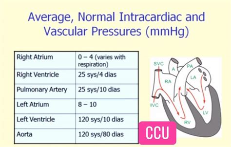 CCU - Normal Intracardiac Pressures...