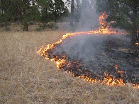 Metro warns about out-of-control grass fires | Kempton Express