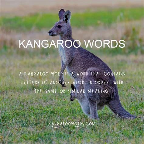 What are Kangaroo Words? Words within words | KangarooWords.com