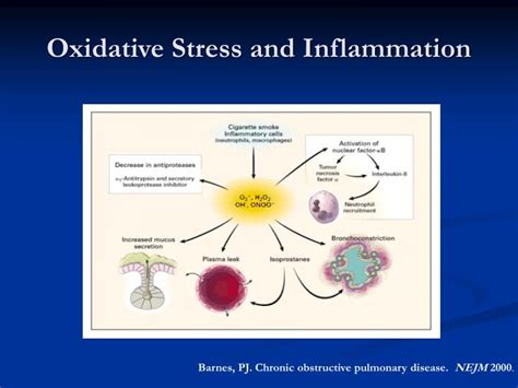 PPT - COPD: A Management Plan for Acute Exacerbations of This Chronic Illness PowerPoint ...