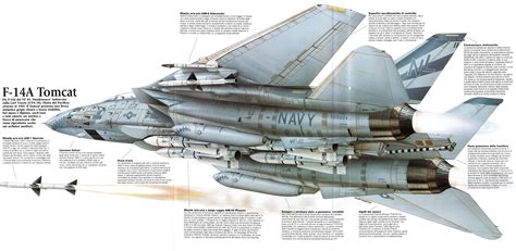 Grumman F-14 Tomcat (Cutaway) (Spaccato) (Profili)