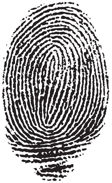 Fingerprint PNG