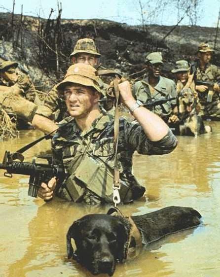 50 Best VIETNAM WAR . AUSTRALIAN TRACKER DOGS images in 2019 | Vietnam ...