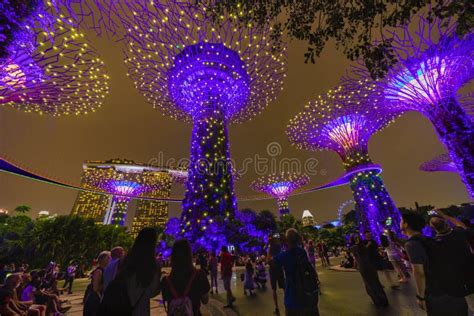 SINGAPORE - APRIL 25 2019 : Singapore Night Skyline at Gardens B Editorial Photo - Image of asia ...