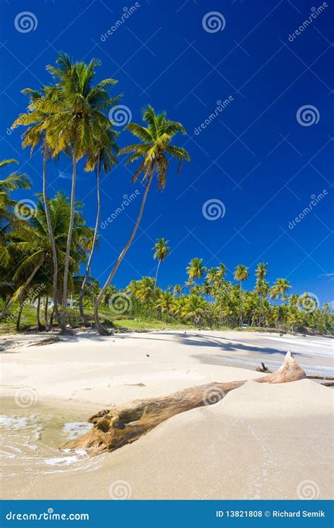 Cumana Bay stock photo. Image of holiday, beaches, coastline - 13821808