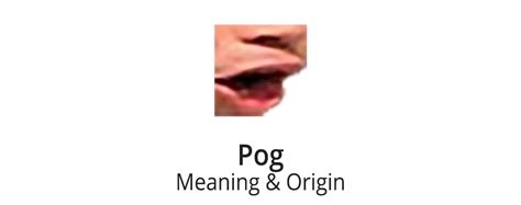 Pog Twitch Emote Meaning & Origin - Streamerfacts