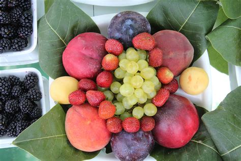 File:Mixed fruit.jpg - Wikimedia Commons