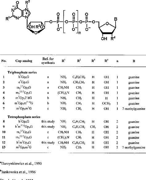 guanosine tetraphosphate metabolic process | Semantic Scholar