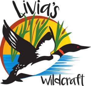 wildcraft logo clipart 10 free Cliparts | Download images on Clipground 2024