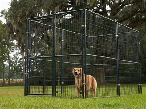 14 Best Tractor Supply Dog Kennels You Can Get | Always Pets