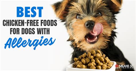 Chicken-Free Foods for Dogs With Sensitivities or Allergies