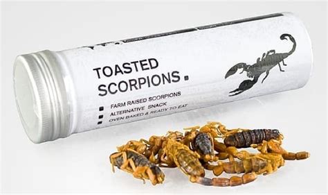 "Toasted Scorpions", a canned scorpion containing 5 animals-released in ...