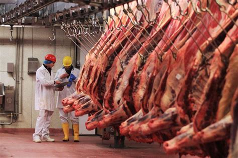 Beef industry has extra capacity to survive factory shutdowns - 25 March 2020 Premium