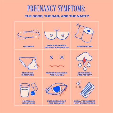 Pregnancy symptoms explained | the memo – The Memo