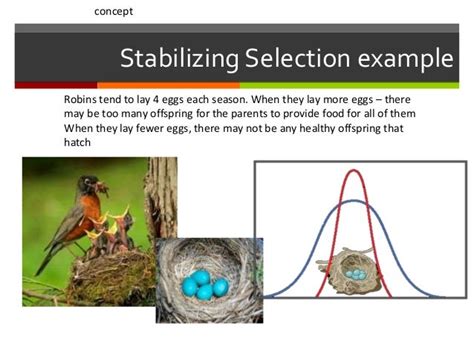 Modes of selection lesson