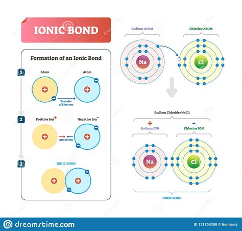 Ionic Bond Vector Illustration. Labeled Diagram with Formation ...