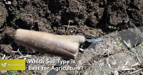 Which Soil Type is Best for Agriculture - Agriculture Loan