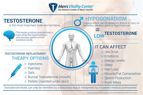 Low Testosterone Replacement Therapy in Tucson: Basics of Testosterone Infographic