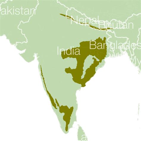 Bear Species Distribution Map