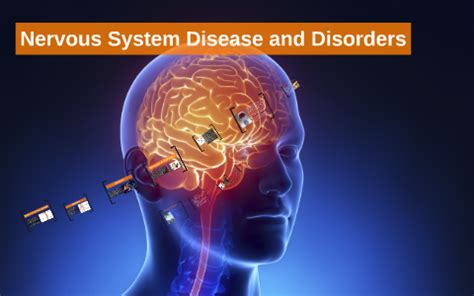 Nervous System Disease and Disorders by Catalina Gutierrez Zuluaga on Prezi