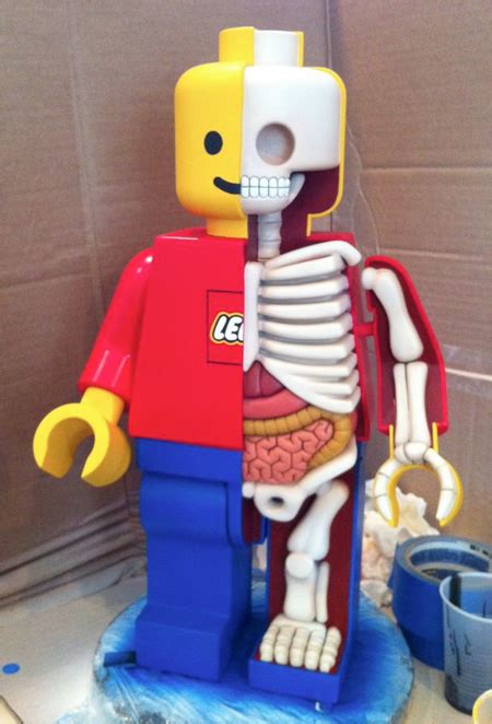 LEGO Anatomy