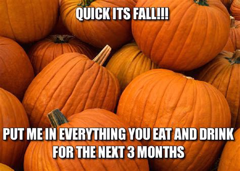 Amusing Autumn Memes plus Friday Frivolity - Munofore