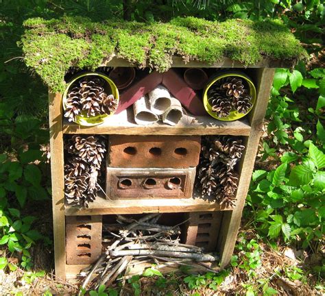 Épinglé sur Outdoor classroom ideas