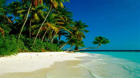 Free download Beach Wallpapers Hd 23049 Wallpaper High Resolution [1920x1080] for your Desktop ...