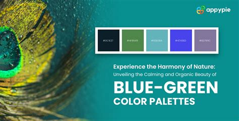 Introduction to Blue-Green Color: Definition, Origins and HEX Code
