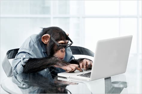 monkey-laptop – ATC Events & Media