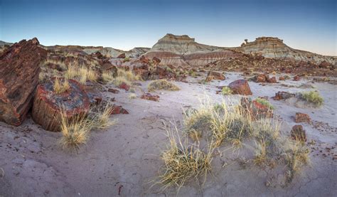 Virtual Hike: Crystal Forest Trail in Petrified Forest National Park, Arizona – Chimani Blog